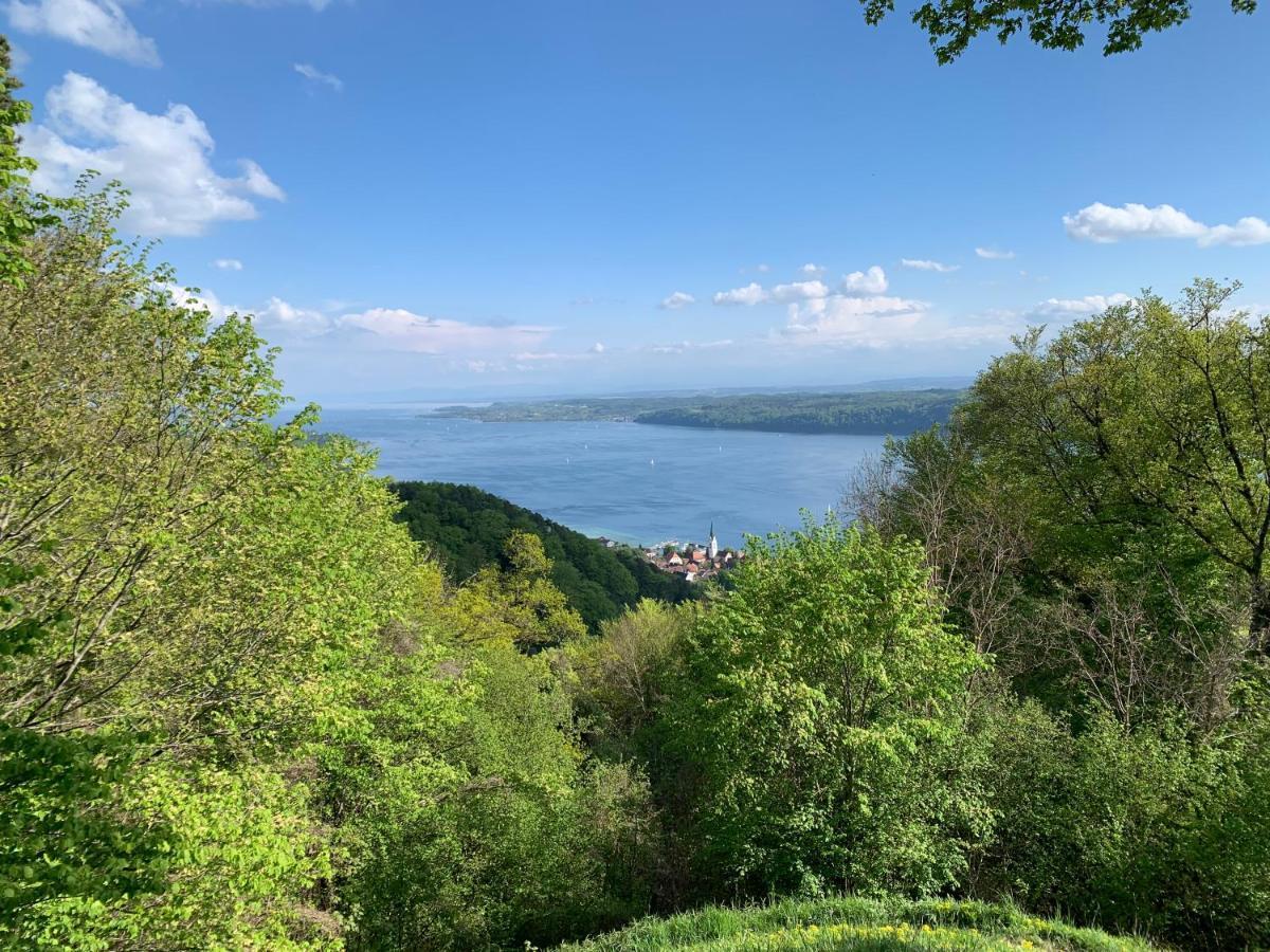 בודמן-לודוויגסהפן Gasthaus Traube, Ludwigshafen, Bodensee, Seenah Gelegen מראה חיצוני תמונה