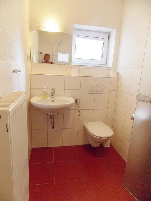 בודמן-לודוויגסהפן Gasthaus Traube, Ludwigshafen, Bodensee, Seenah Gelegen מראה חיצוני תמונה
